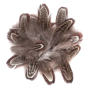 Dekorativno fazanovo perje temno / 15 kosov (Perje fazana)