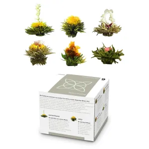 Feelino Čajni cvetovi, 6 različnih sort, posamično zaviti, zelo produktivni