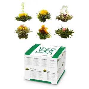 Feelino Čajni cvetovi, 6 različnih sort, posamično zaviti, zelo produktivni #5245