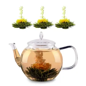 Feelino Steklen čajnik, borosilikatno steklo, s pokrovčkom, čajno cedilo in čajni cvetovi