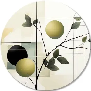 Okrogle slike z akrilom Nasad oljk | different dimensions