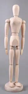 Lesen model človeškega telesa - ženska - 40 cm (kreativni)