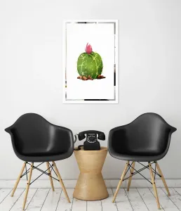 Slika na ogledalu Kaktus Mirrora 67 - 60x40 cm (Slike Mirrora)