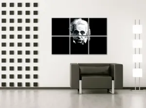Ročno izdelana slika POP Art  Einstein 6-delna  (POP ART slike)
