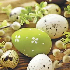 Velikonočne serviete za DECOUPAGE - Jajca in vejice vrbe - 1kom ()