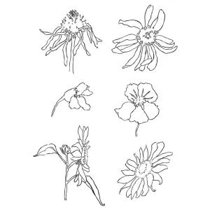 Transparentne štampiljke - travniško cvetje (silikonski pečati)